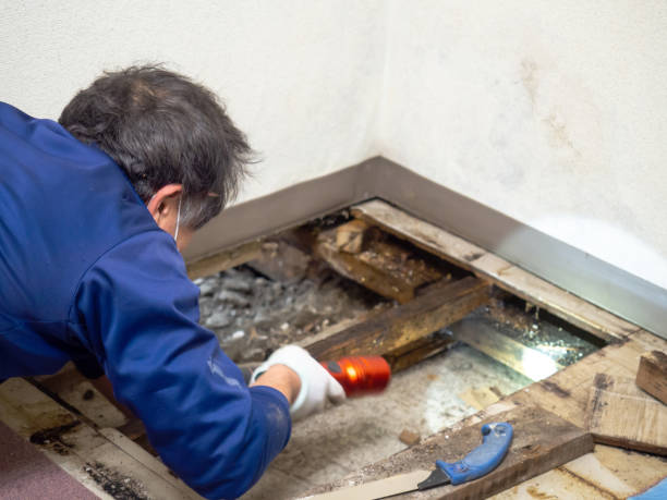 Crawl Space Mold Removal in Greenfields, PA