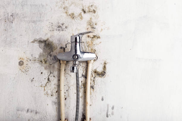 Best Water Damage Restoration  in Greenfields, PA