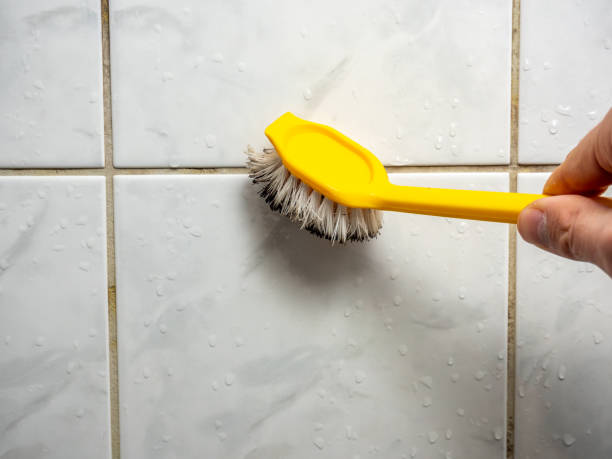 Trusted Greenfields, PA Mold Removal Experts