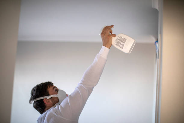 Best Best Mold Removal Companies  in Greenfields, PA