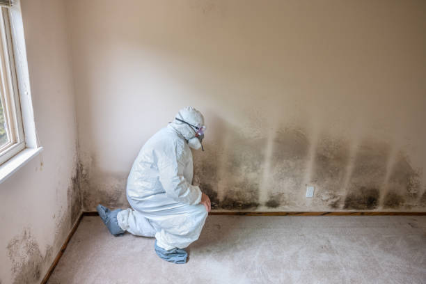 Best Crawl Space Mold Removal  in Greenfields, PA